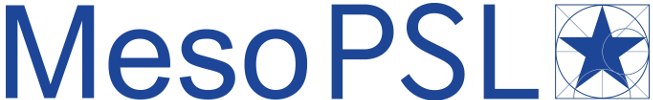 MesoPSL